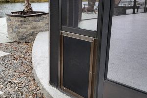 pet door2 pet door2
